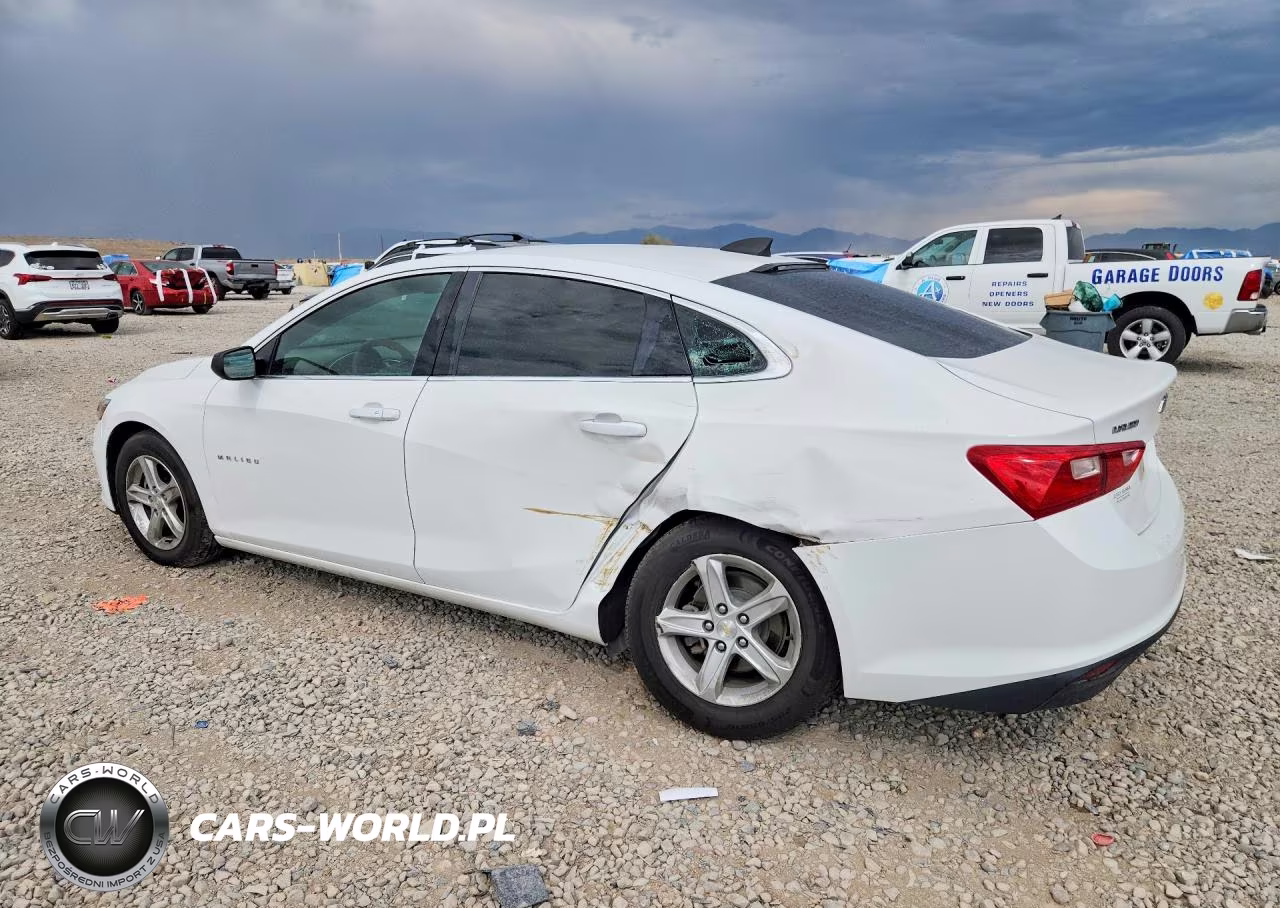 2019 Chevrolet Malibu Ls VIN:1G1ZB5ST9KF145407 - 2