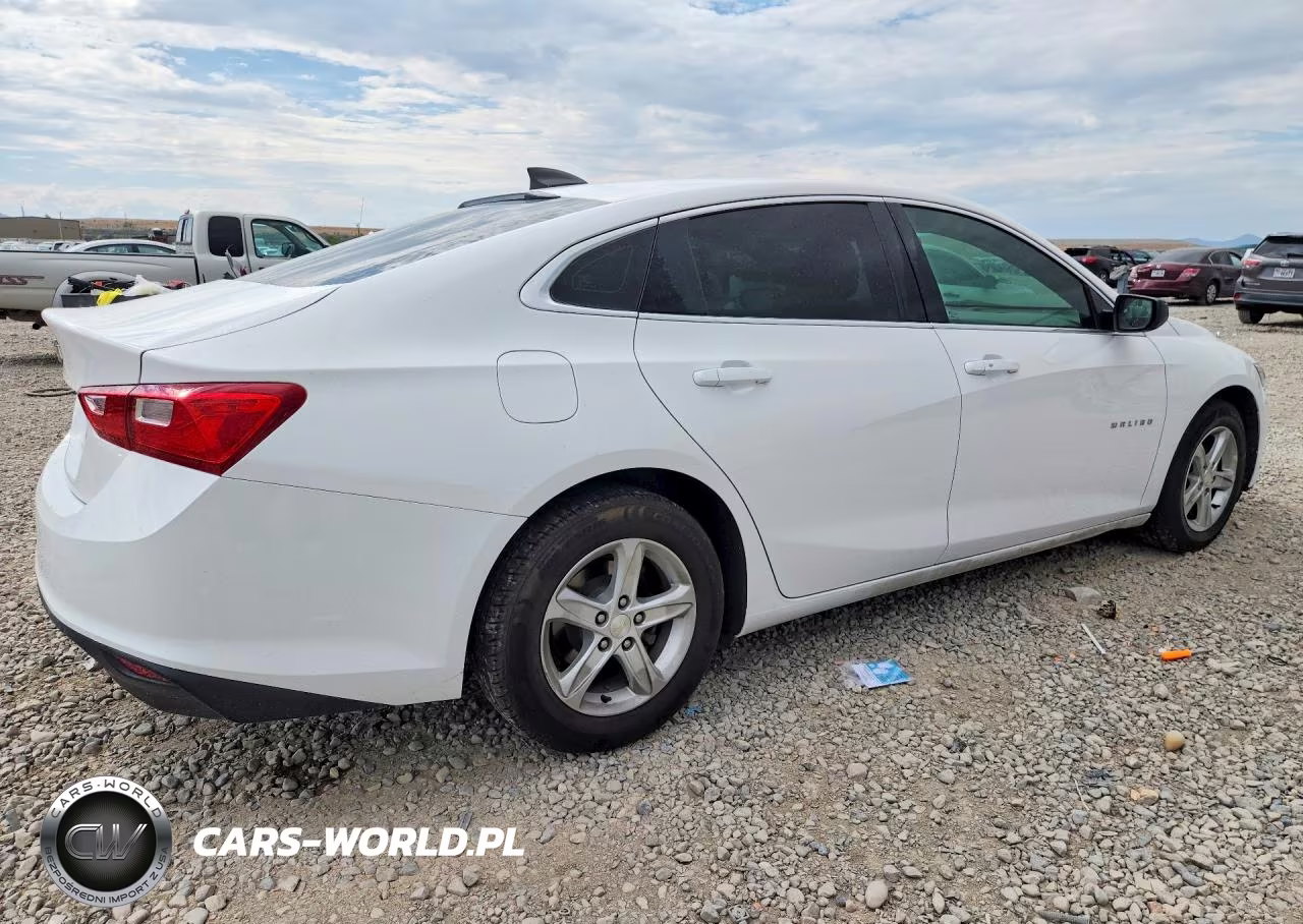 2019 Chevrolet Malibu Ls VIN:1G1ZB5ST9KF145407 - 3