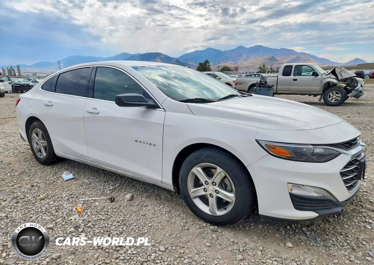 2019 Chevrolet Malibu Ls VIN:1G1ZB5ST9KF145407 - 4