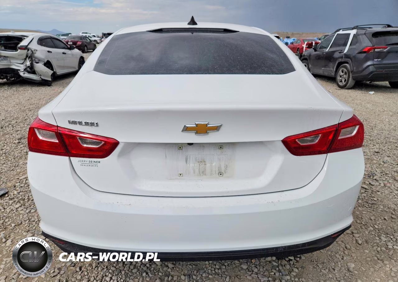 2019 Chevrolet Malibu Ls VIN:1G1ZB5ST9KF145407 - 6