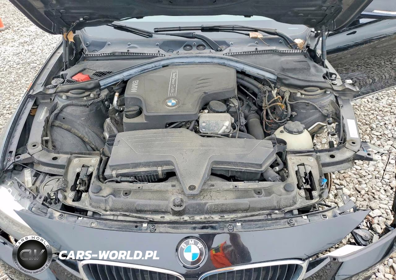 2013 BMW 328 Xi Sulev VIN:WBA3B5G52DNS02009 - 11