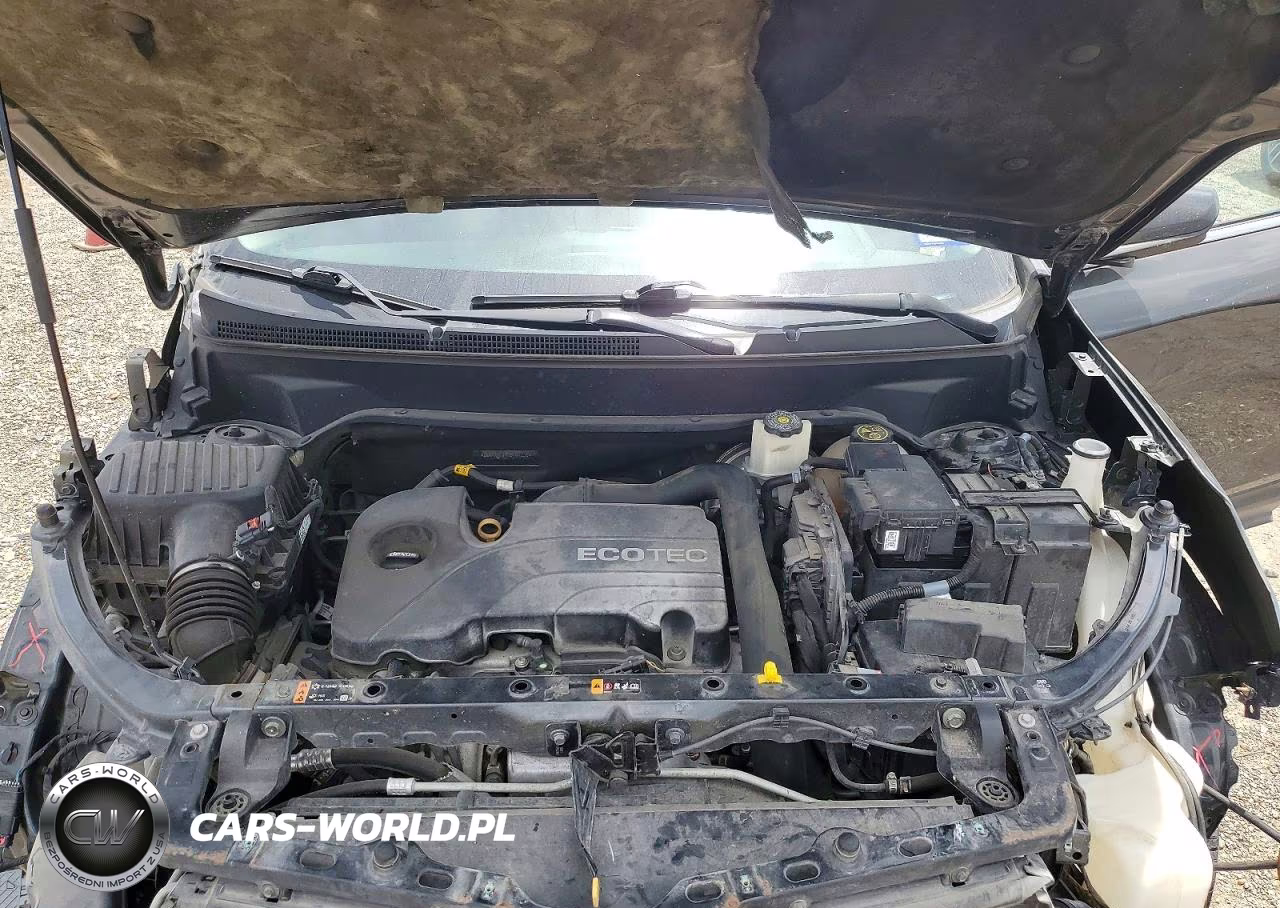 2019 Chevrolet Equinox Lt VIN:2GNAXKEV1K6107236 - 11