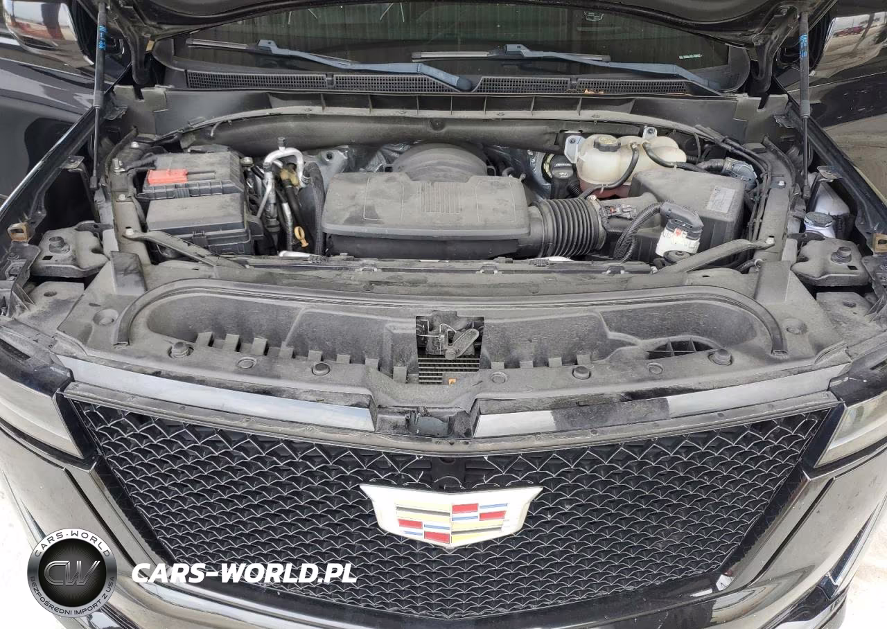 2021 Cadillac Escalade Esv Sport VIN:1GYS3NKL0MR286853 - 12