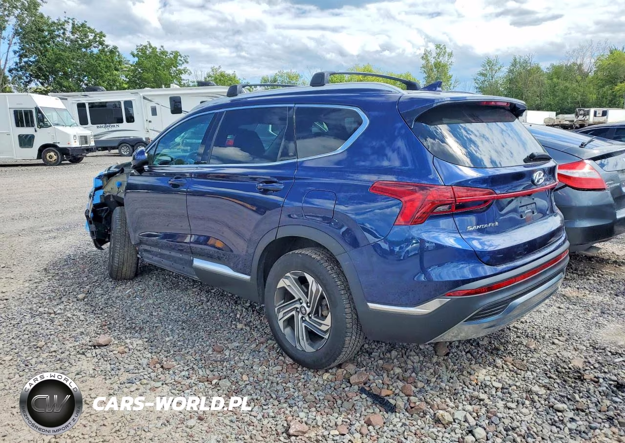 2022 Hyundai Santa Fe Sel VIN:5NMS2DAJXNH430319 - 2