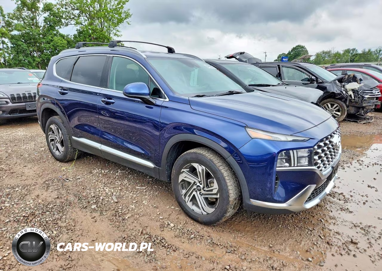 2022 Hyundai Santa Fe Sel VIN:5NMS2DAJXNH430319 - 4