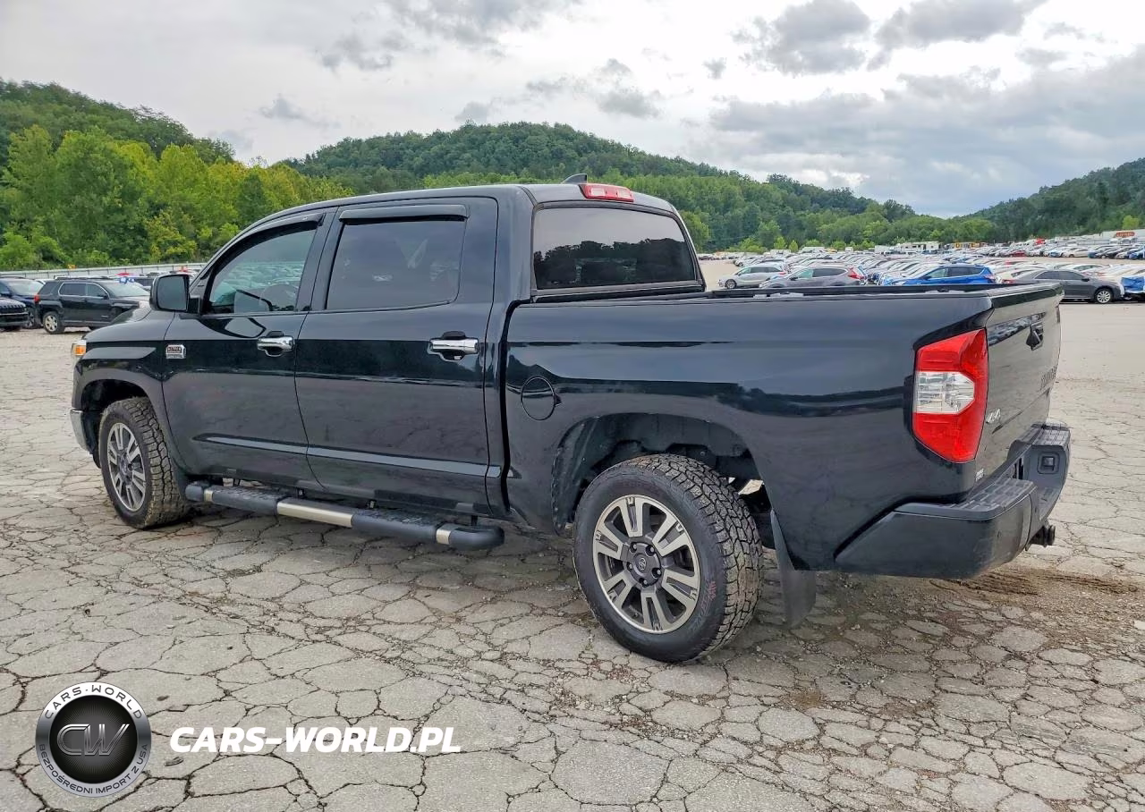 2020 Toyota Tundra 1794 Edition VIN:5TFAY5F13LX872856 - 2