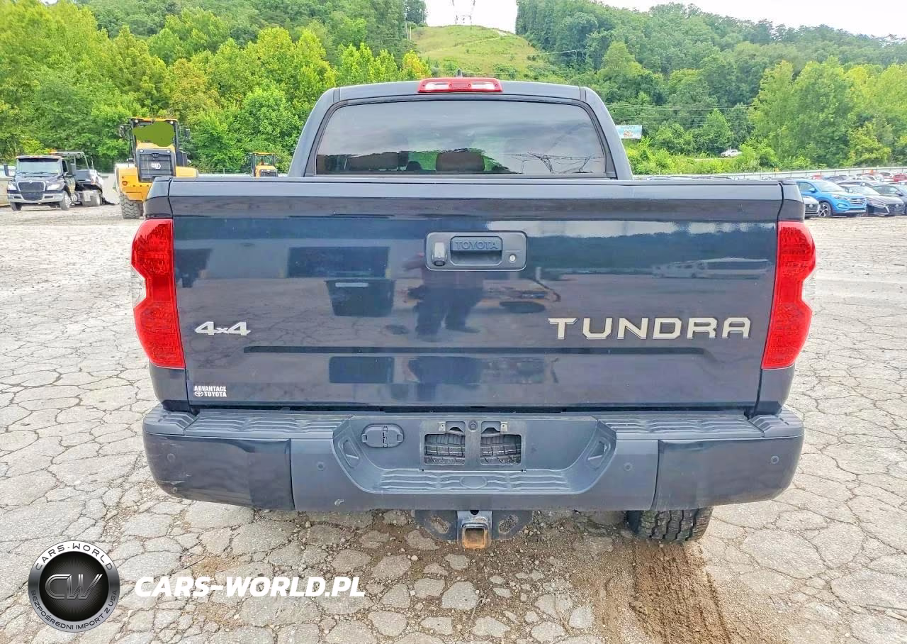 2020 Toyota Tundra 1794 Edition VIN:5TFAY5F13LX872856 - 6