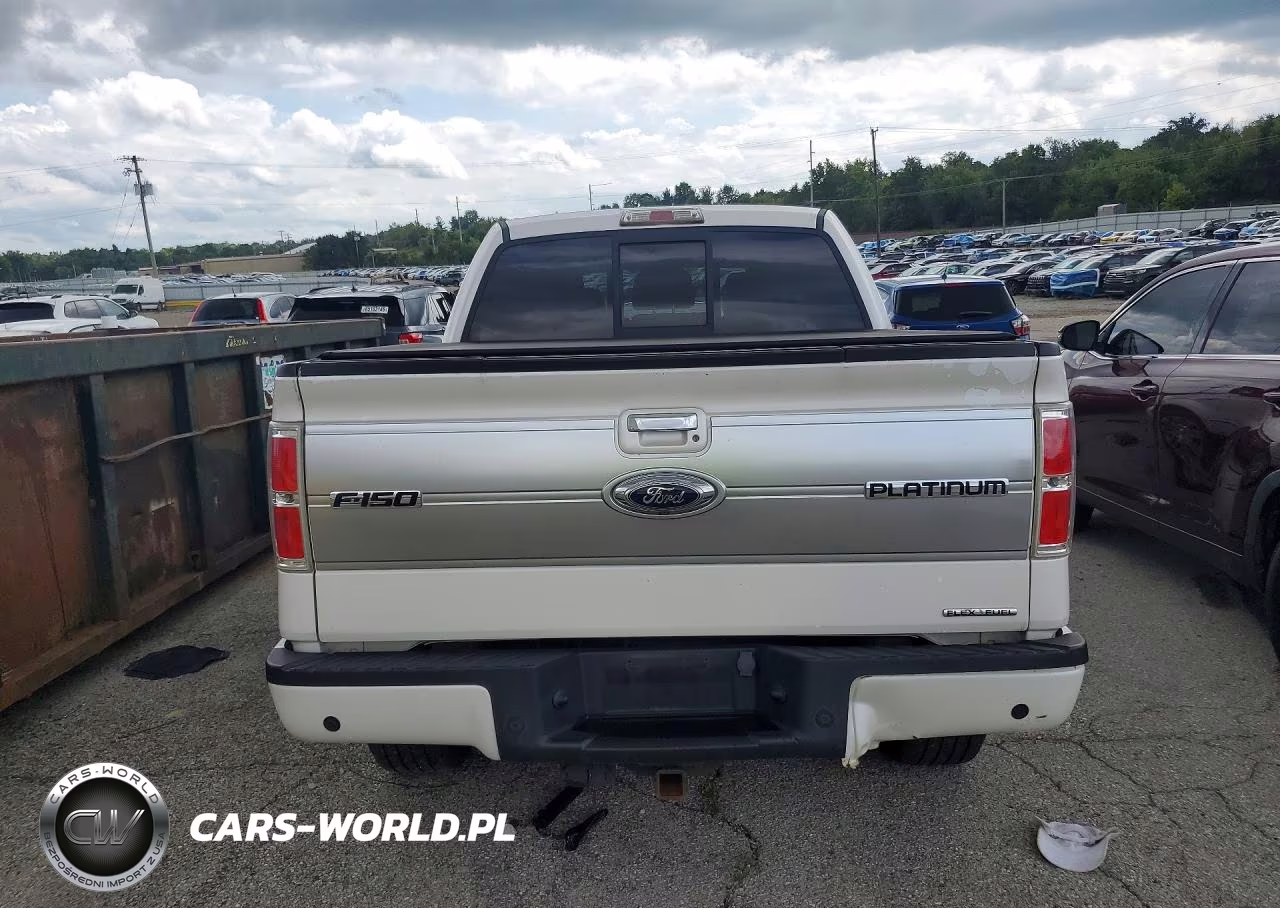2011 Ford F150 Supercrew VIN:1FTFW1EF7BFD07063 - 6