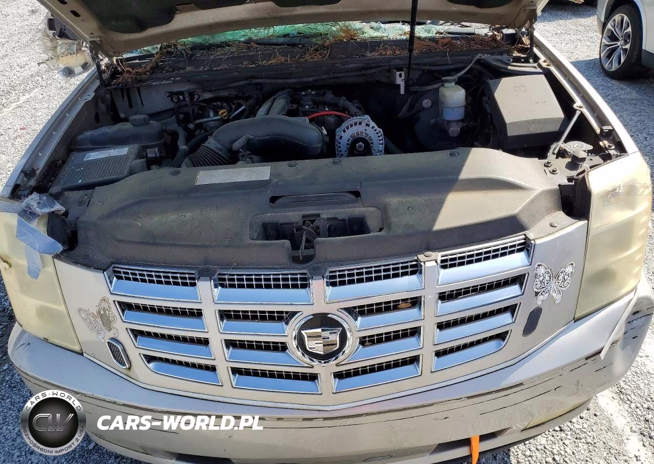 2007 Cadillac Escalade Luxury VIN:1GYEC63887R356018 - 12