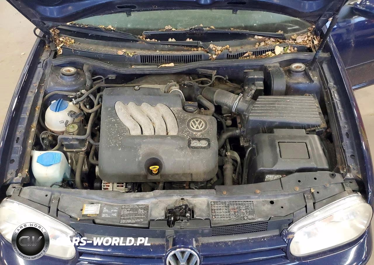 2006 Volkswagen Golf Gls VIN:9BWGL61J864007964 - 11
