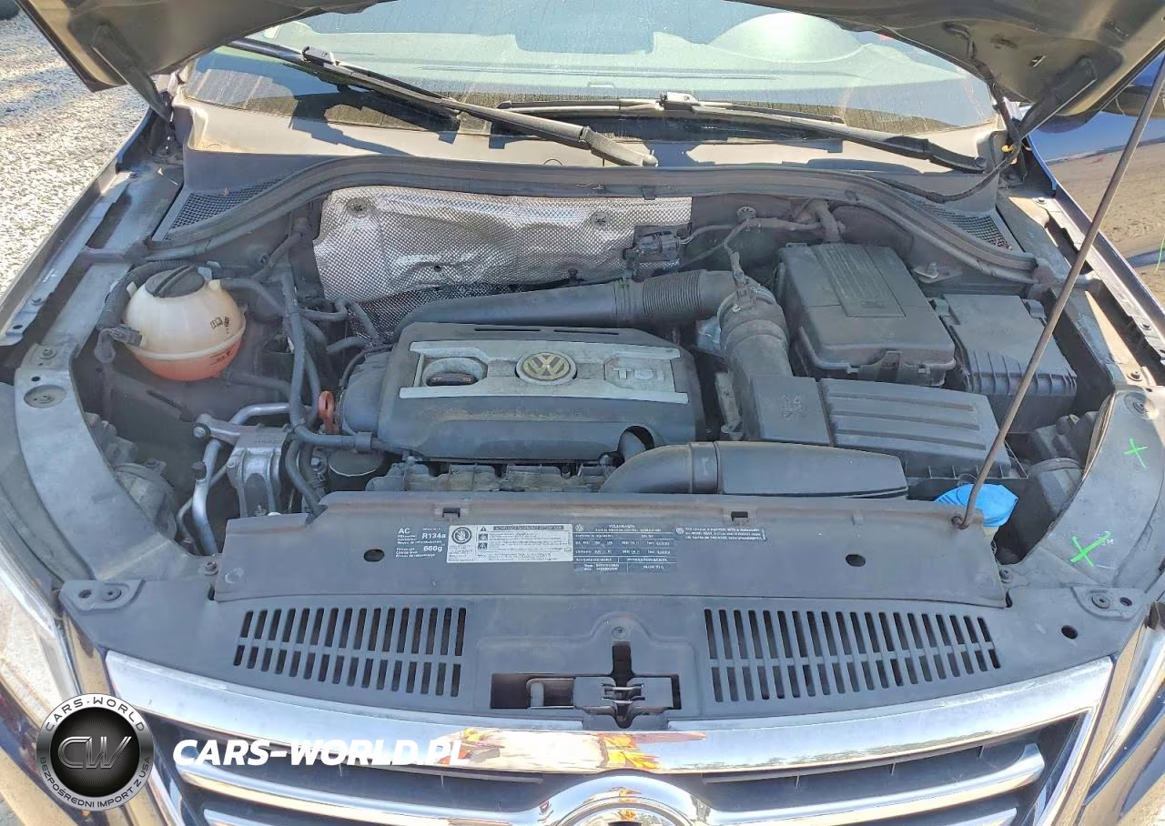 2011 Volkswagen Tiguan S VIN:WVGBV7AX6BW517782 - 12