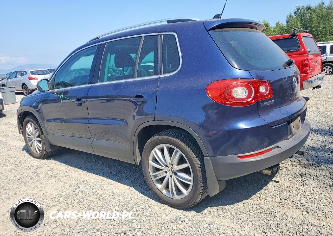 2011 Volkswagen Tiguan S VIN:WVGBV7AX6BW517782 - 2