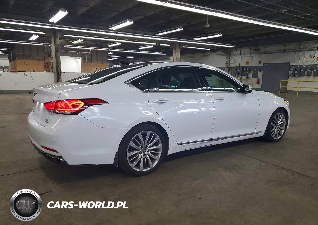 2019 Genesis G80 5.0 Ultimate VIN:KMTFN4JF9KU303183 - 3
