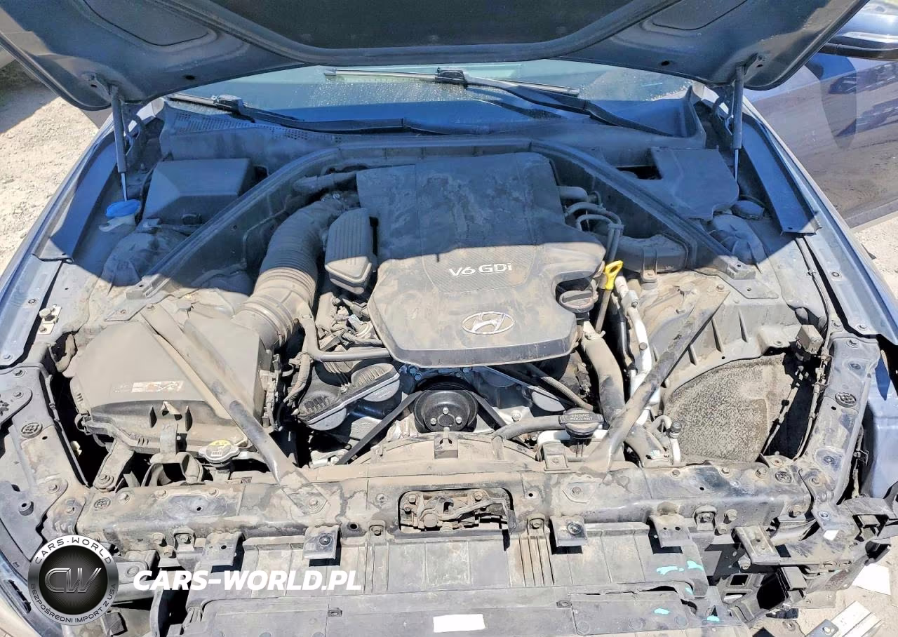 2015 Hyundai Genesis 3.8L VIN:KMHGN4JE9FU096547 - 11