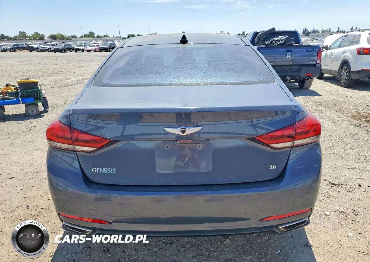 2015 Hyundai Genesis 3.8L VIN:KMHGN4JE9FU096547 - 6
