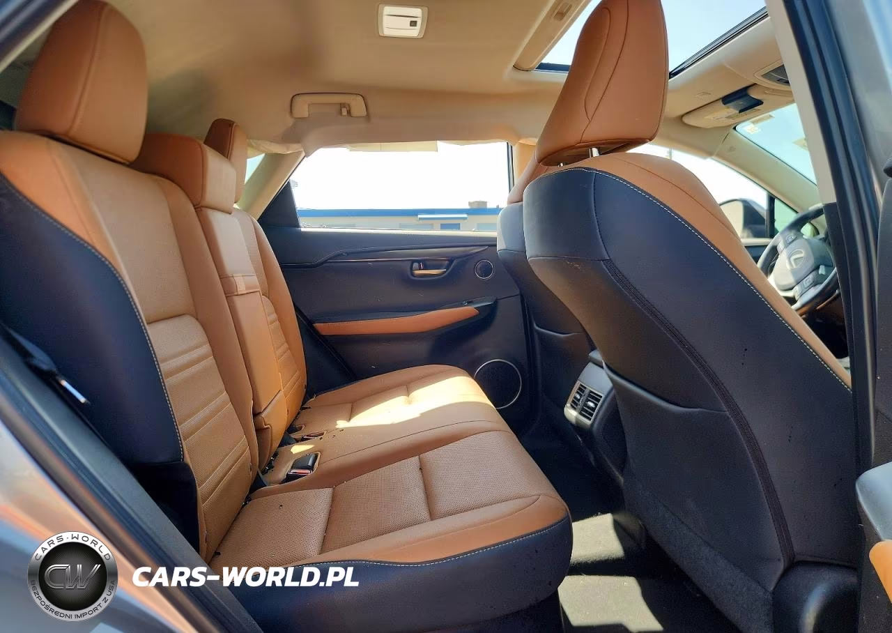 2020 Lexus Nx 300 VIN:JTJDARBZ8L5005451 - 10