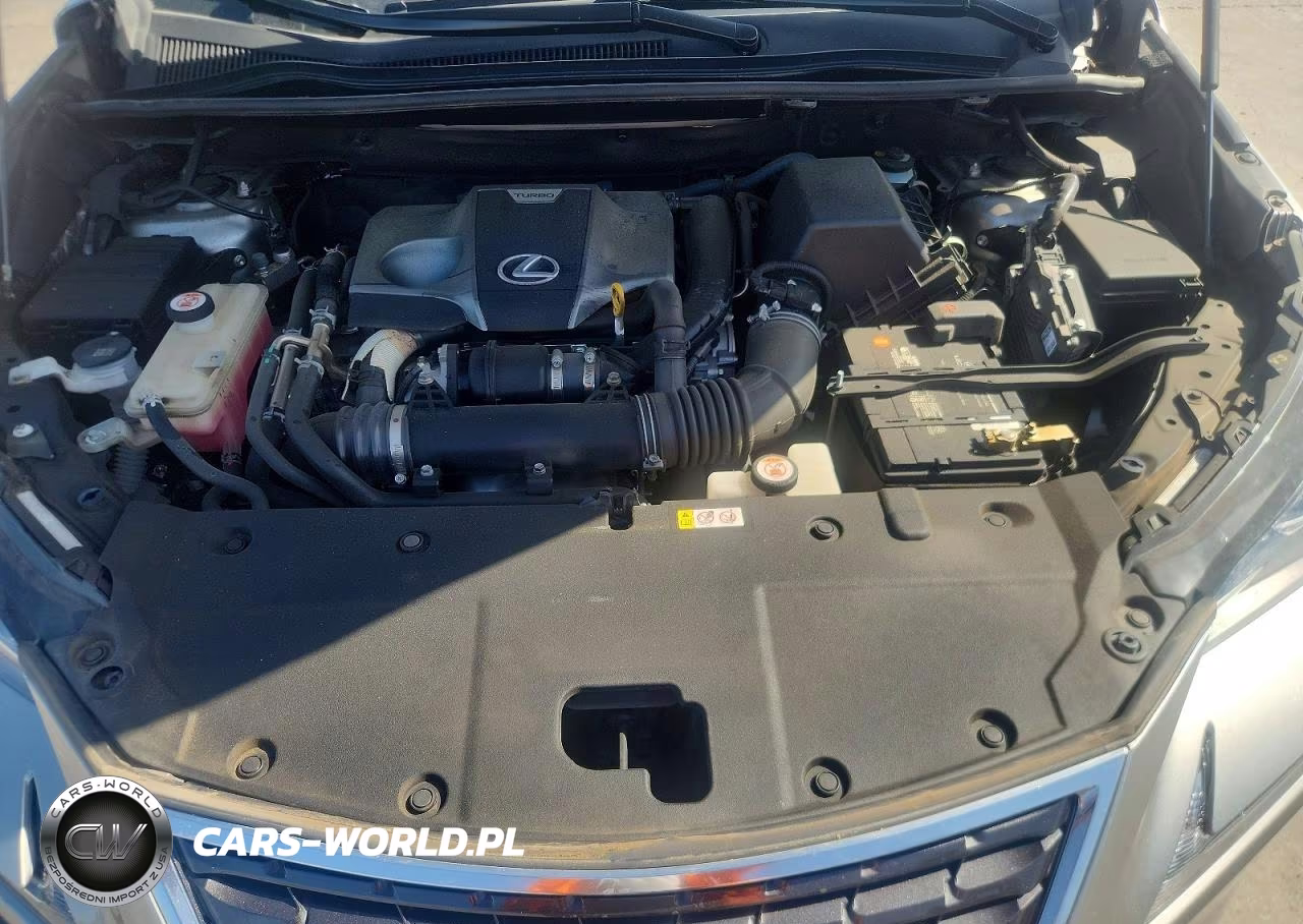 2020 Lexus Nx 300 VIN:JTJDARBZ8L5005451 - 11