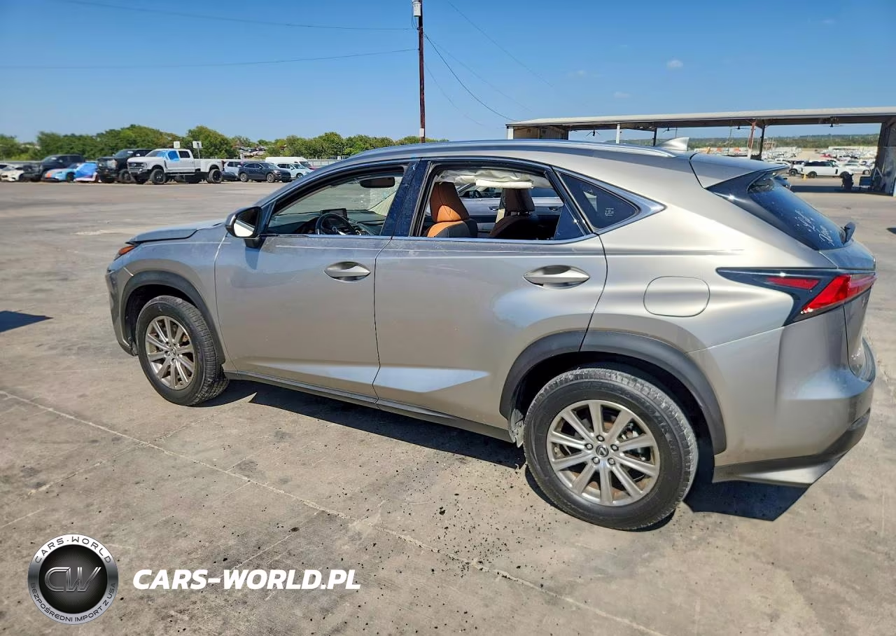 2020 Lexus Nx 300 VIN:JTJDARBZ8L5005451 - 2