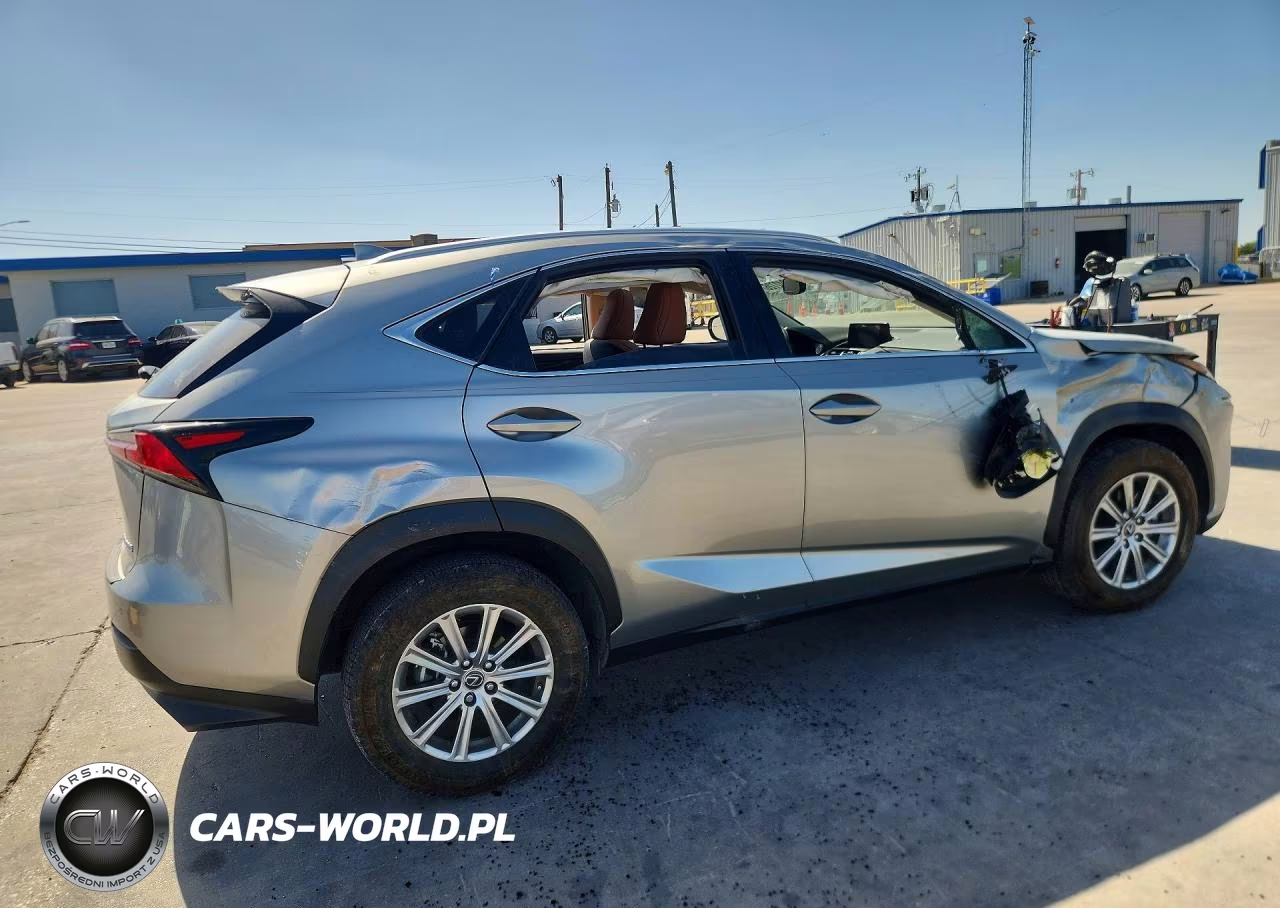 2020 Lexus Nx 300 VIN:JTJDARBZ8L5005451 - 3