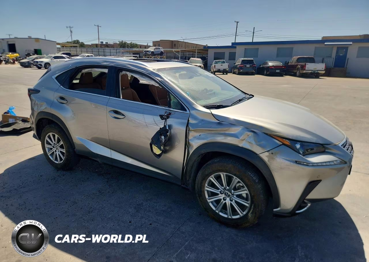 2020 Lexus Nx 300 VIN:JTJDARBZ8L5005451 - 4