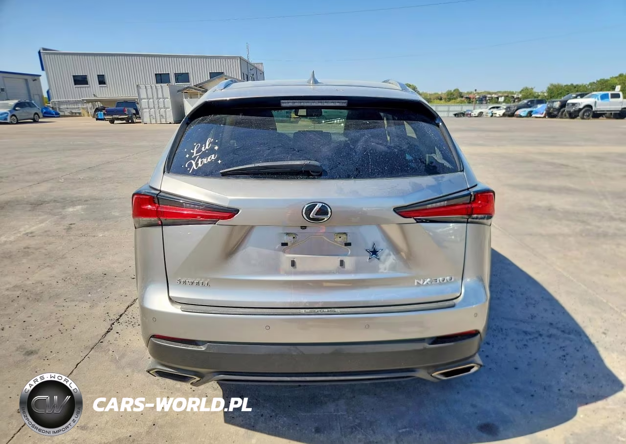 2020 Lexus Nx 300 VIN:JTJDARBZ8L5005451 - 6