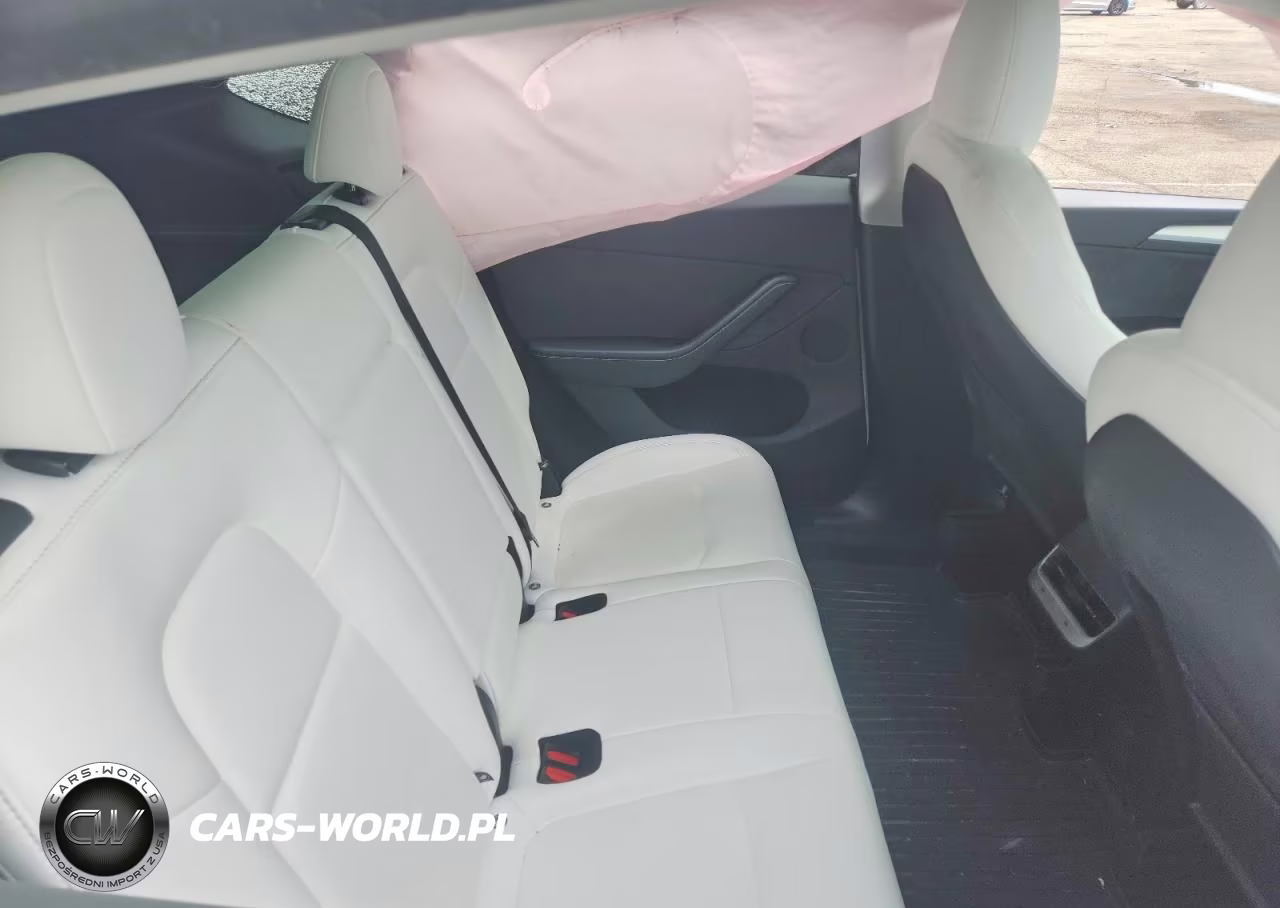 2024 Tesla Model Y VIN:7SAYGDEF5RA318908 - 10