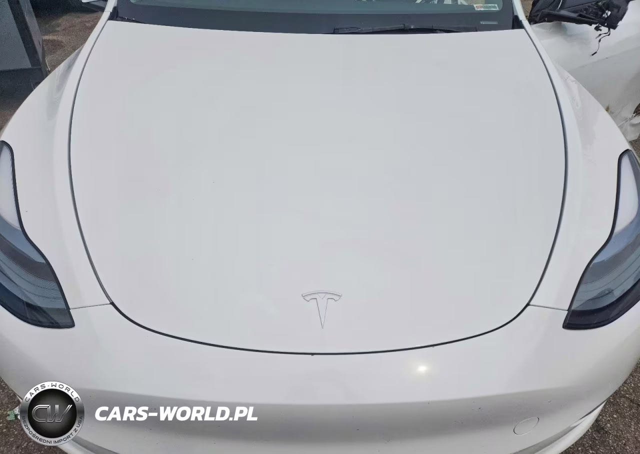 2024 Tesla Model Y VIN:7SAYGDEF5RA318908 - 11