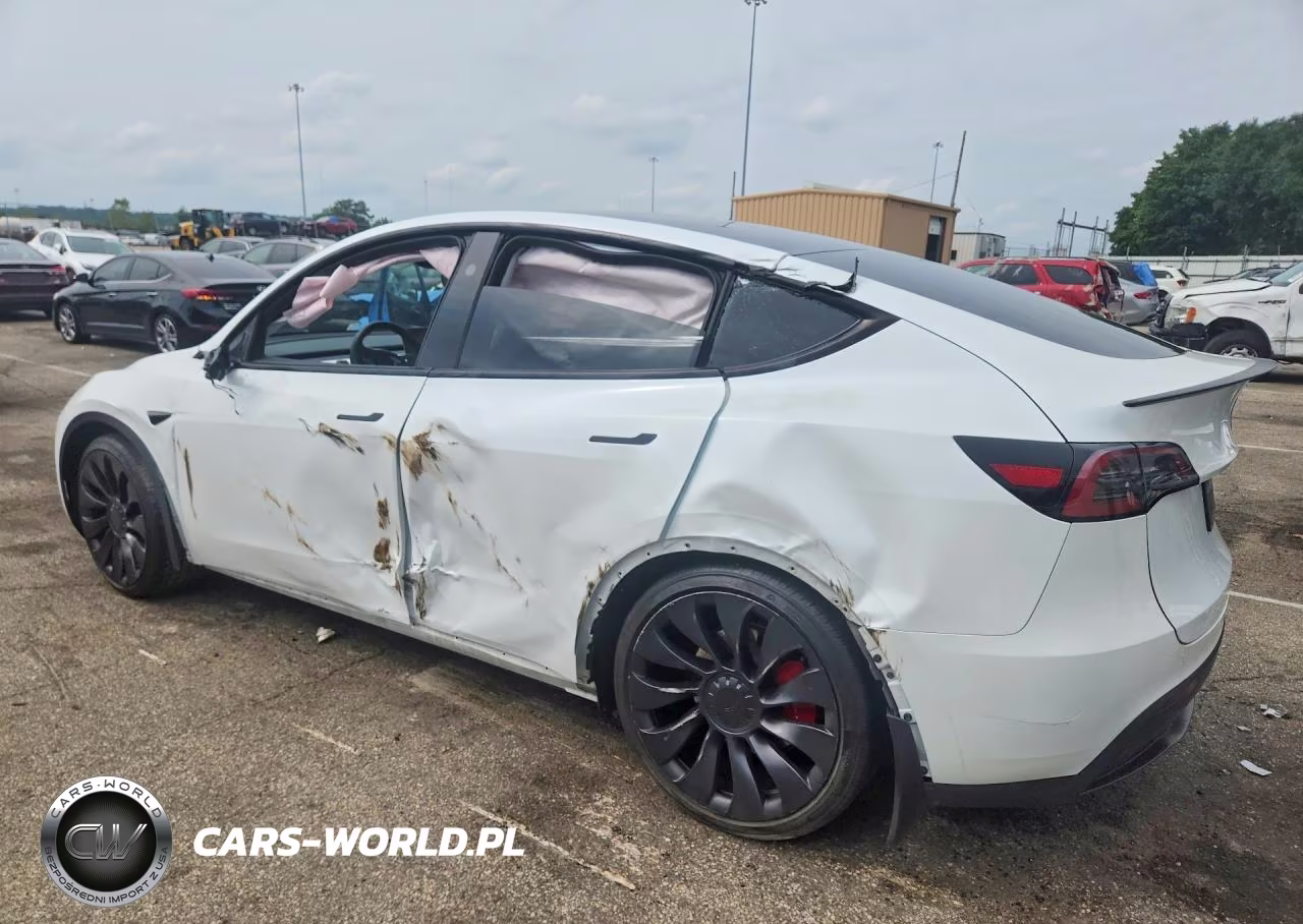 2024 Tesla Model Y VIN:7SAYGDEF5RA318908 - 2