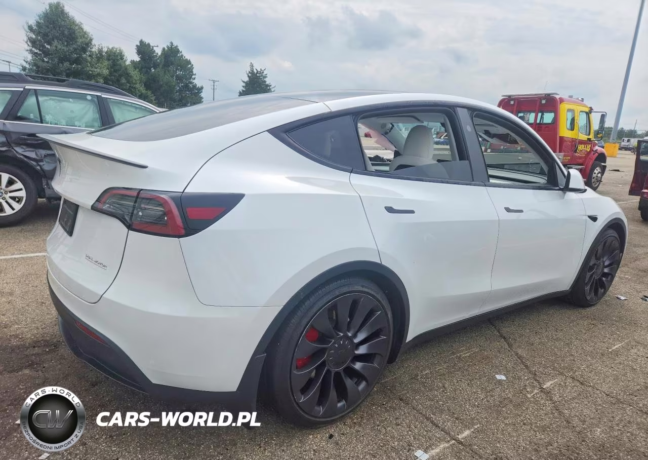 2024 Tesla Model Y VIN:7SAYGDEF5RA318908 - 3