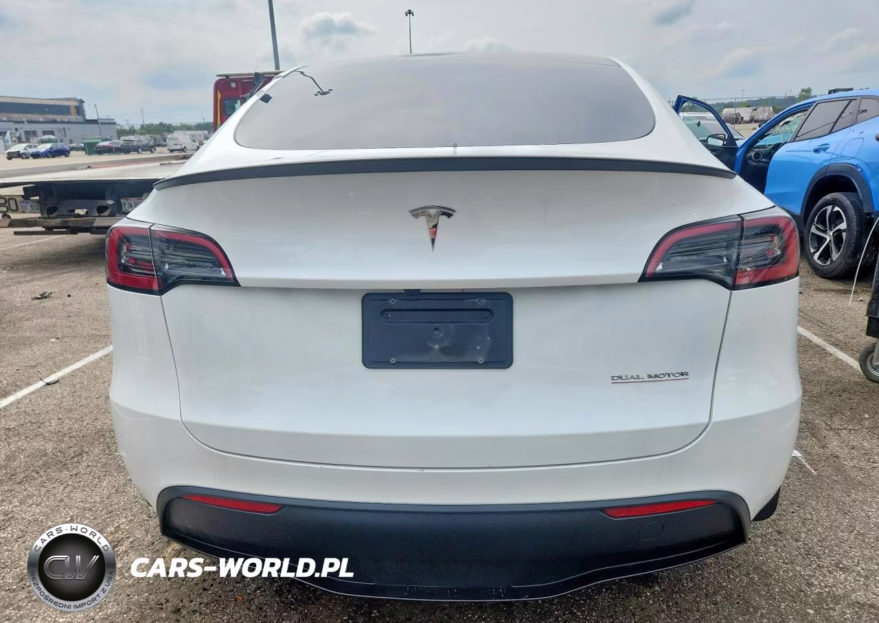 2024 Tesla Model Y VIN:7SAYGDEF5RA318908 - 6