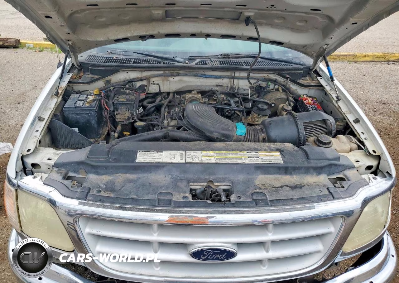 1999 Ford F150 VIN:1FTRX17L7XKB74896 - 11