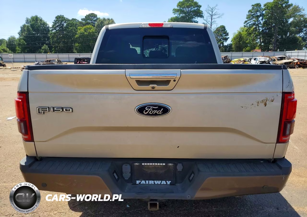2017 Ford F150 Supercrew VIN:1FTEW1EG7HKC05010 - 6