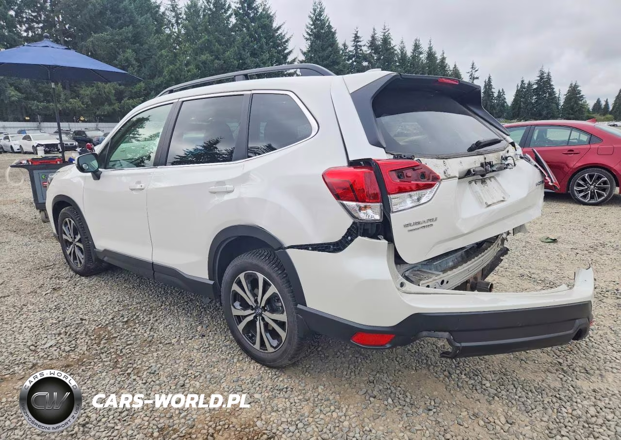 2020 Subaru Forester Limited VIN:JF2SKASC0LH451842 - 2