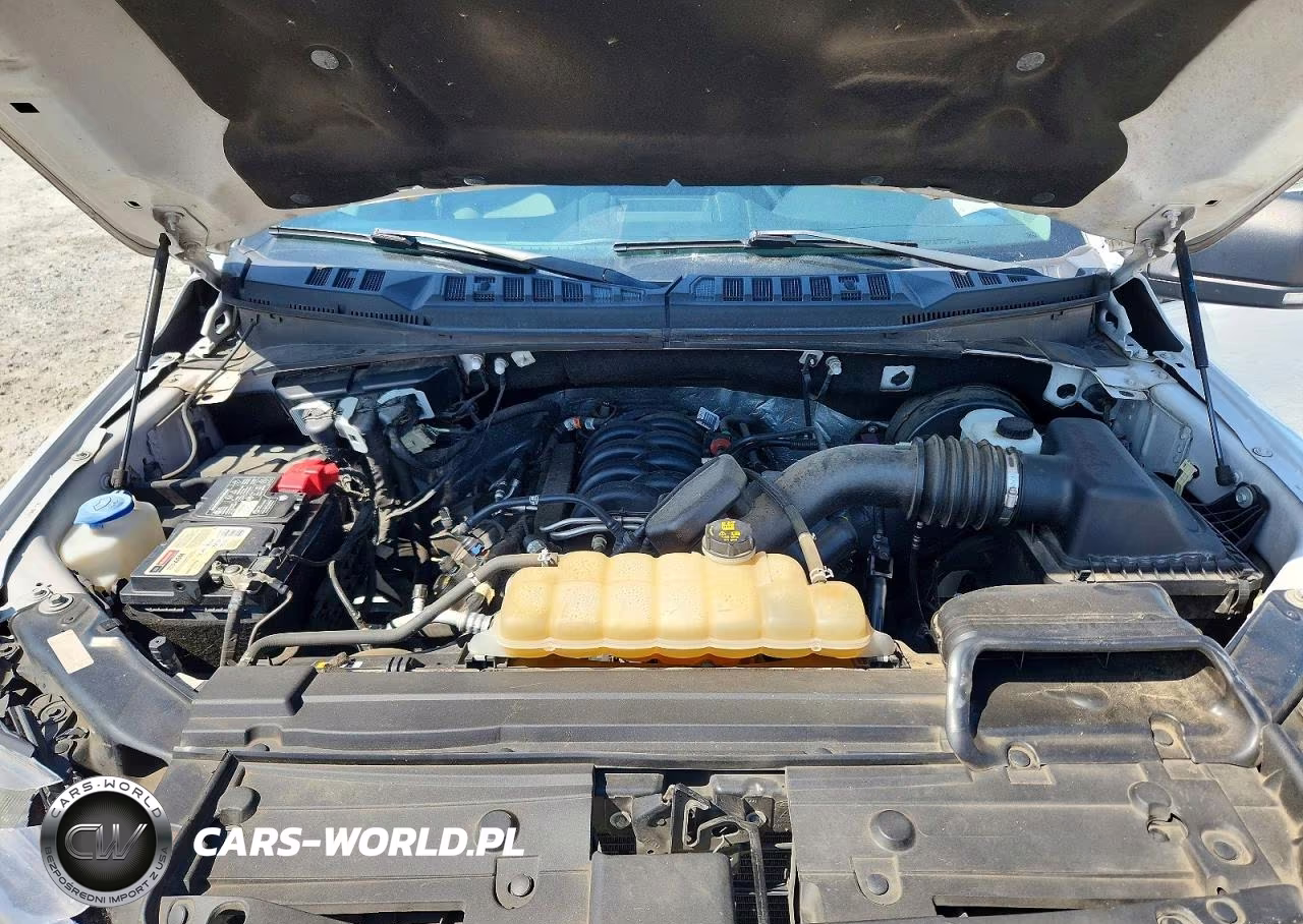 2019 Ford F150 Supercrew VIN:1FTEW1C53KFD26442 - 11