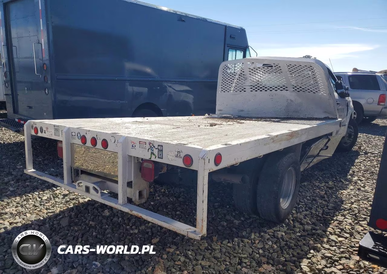2020 Ford F350 VIN:1FDRF3GT8LEE53342 - 3