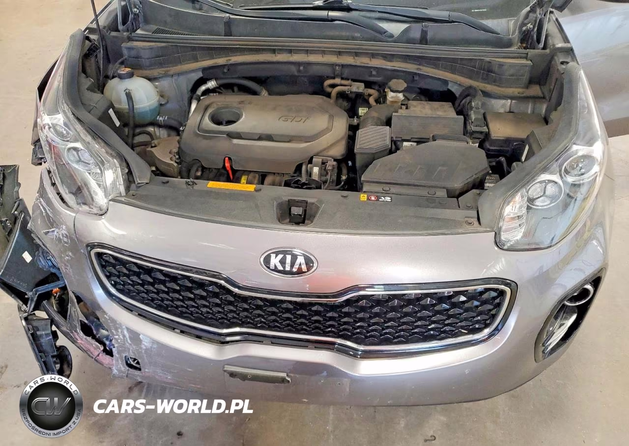 2019 Kia Sportage Lx VIN:KNDPMCACXK7525252 - 12