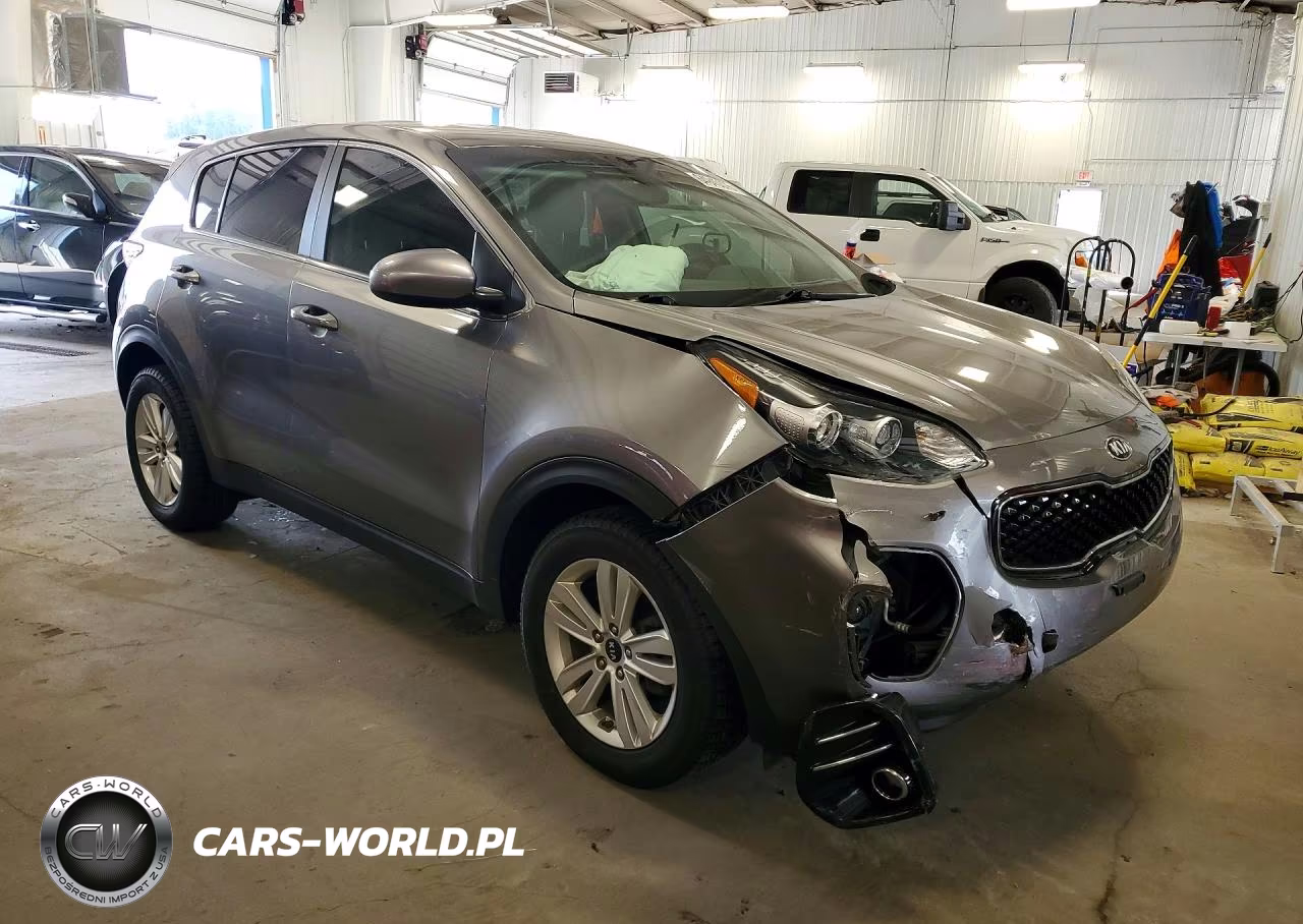 2019 Kia Sportage Lx VIN:KNDPMCACXK7525252 - 4
