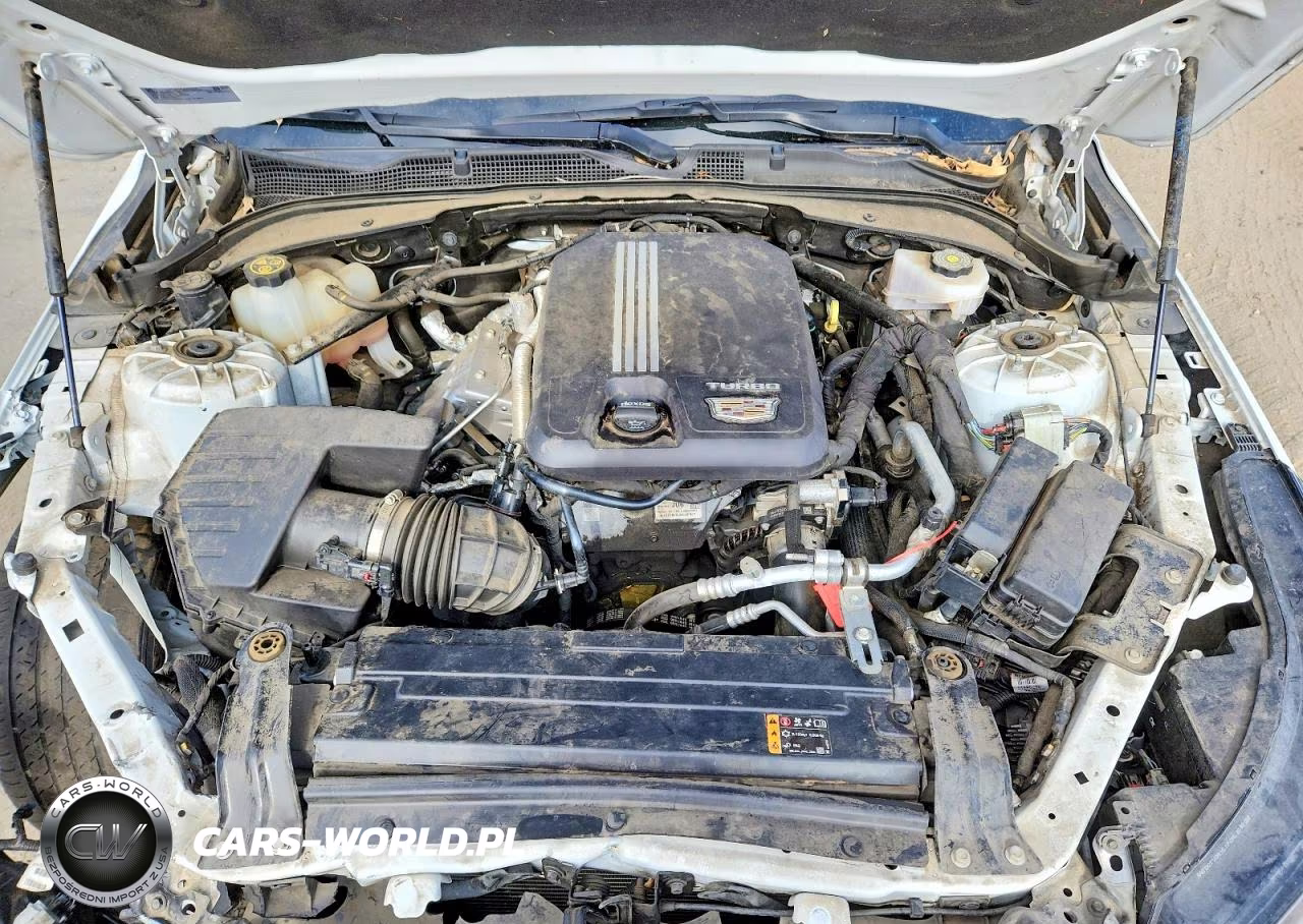 2023 Cadillac Ct4 Luxury VIN:1G6DJ5RK5P0123158 - 11