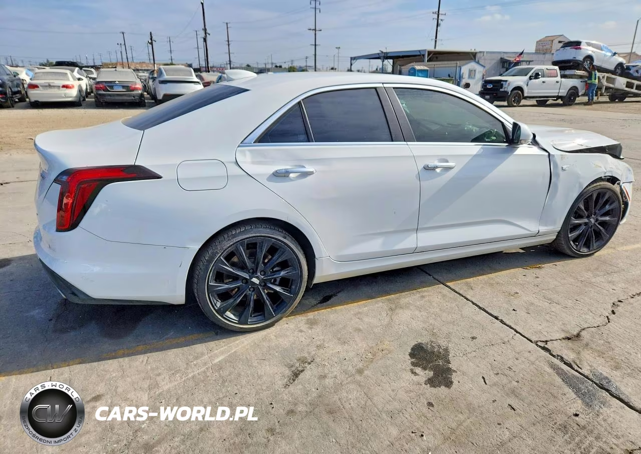 2023 Cadillac Ct4 Luxury VIN:1G6DJ5RK5P0123158 - 3
