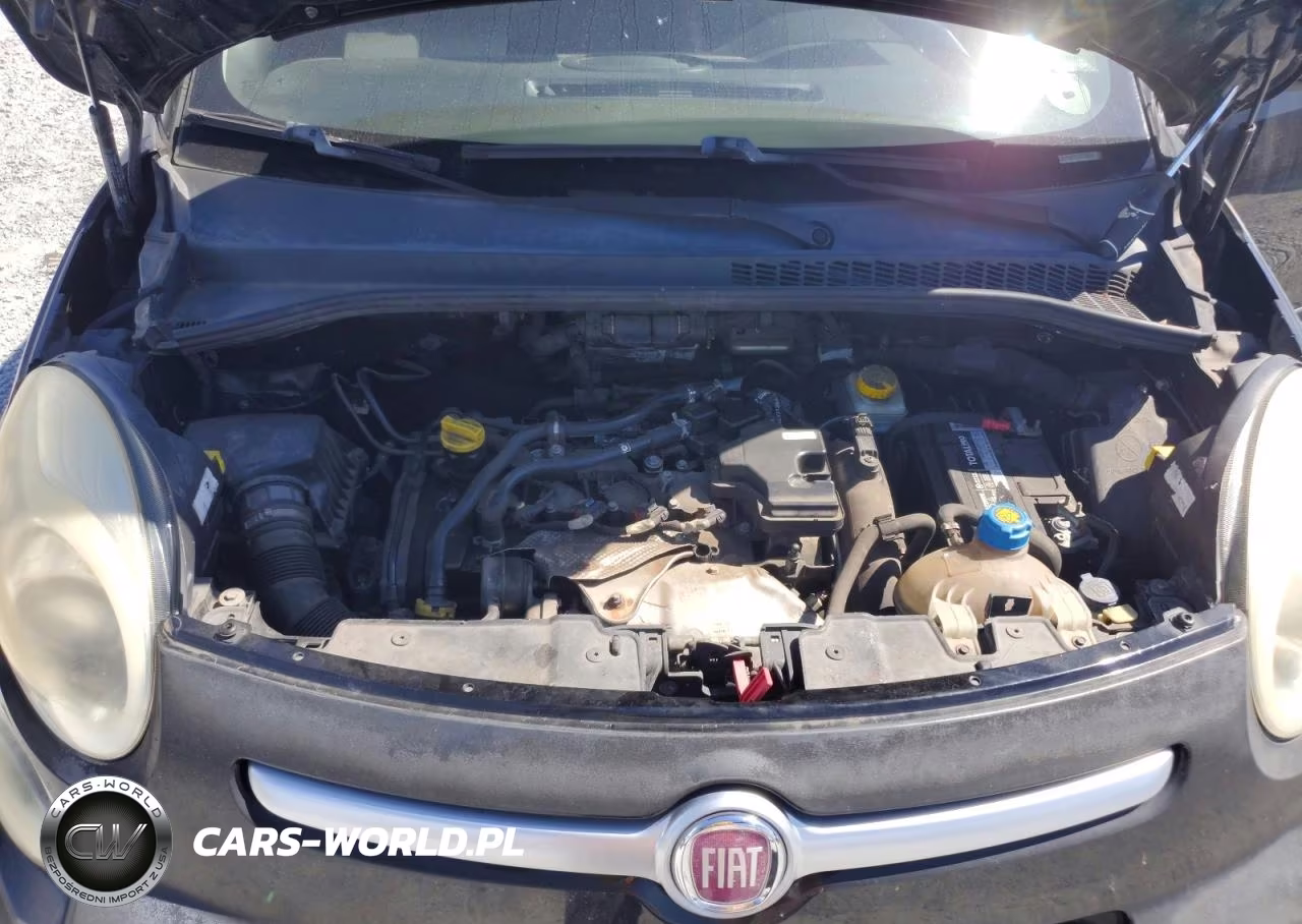 2014 Fiat 500L Trekking VIN:ZFBCFADH9EZ014180 - 12