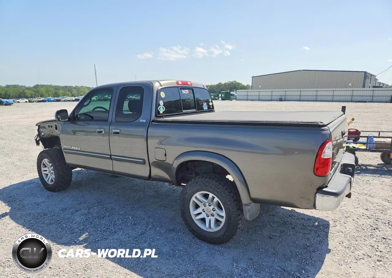 2005 Toyota Tundra Access Cab Sr5 VIN:5TBBT44105S459391 - 2