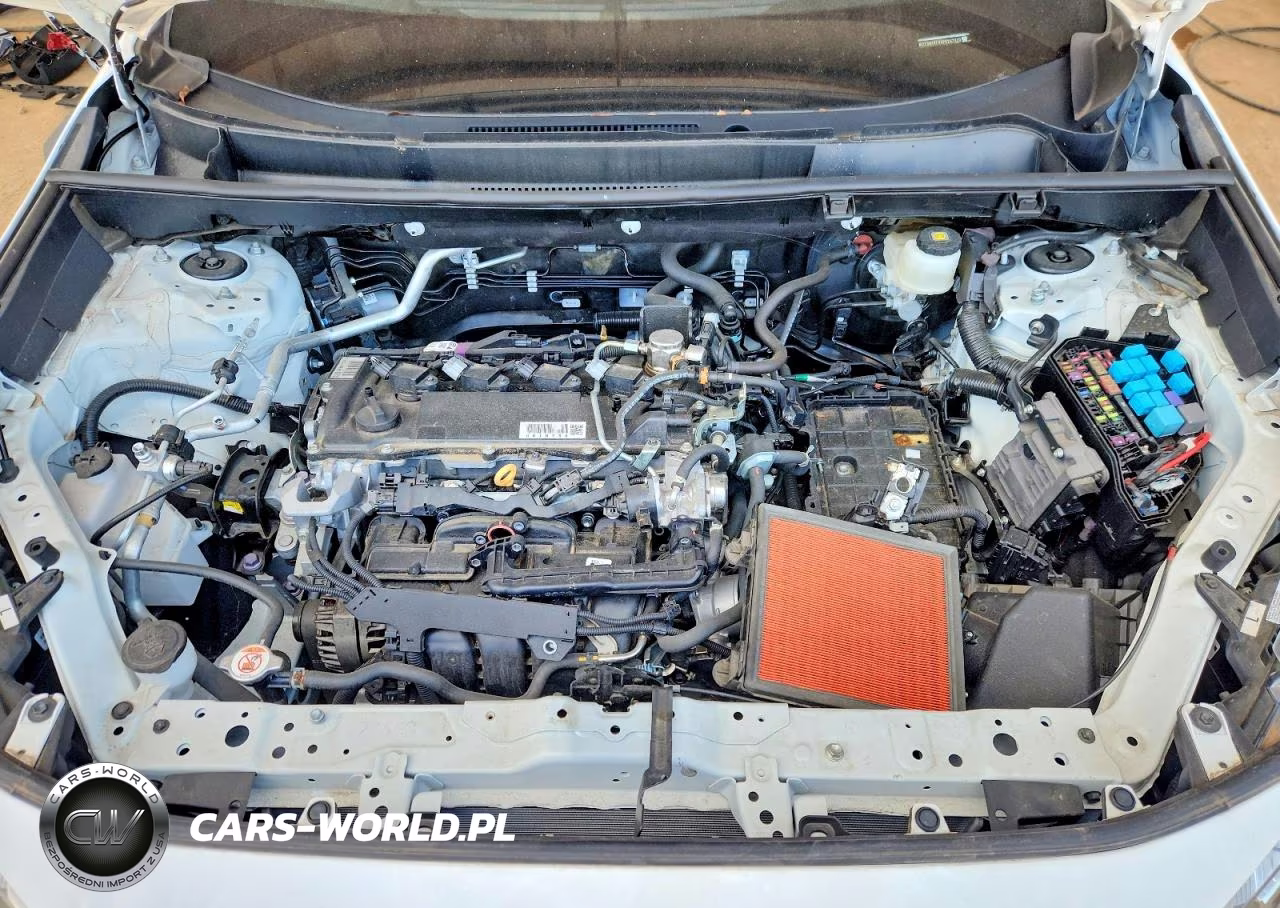 2023 Toyota Rav4 Xle VIN:2T3W1RFV6PC237890 - 12