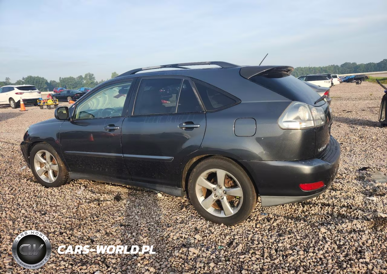 2004 Lexus Rx 330 VIN:JTJHA31U940059697 - 2