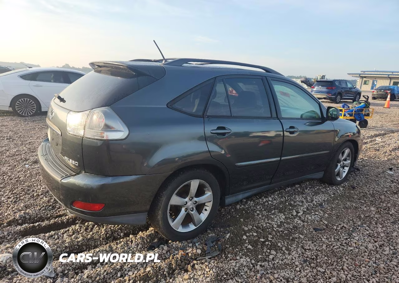 2004 Lexus Rx 330 VIN:JTJHA31U940059697 - 3