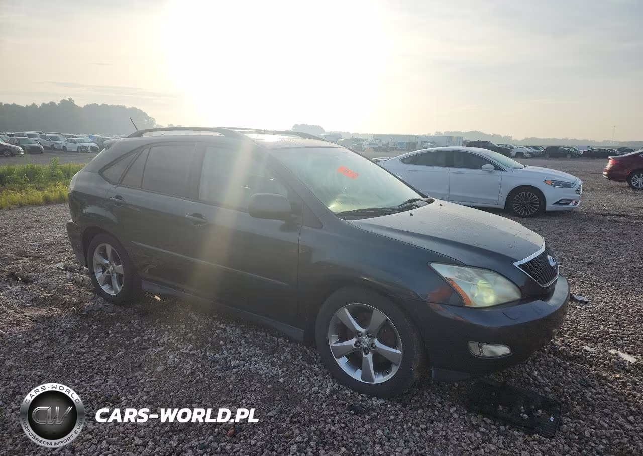2004 Lexus Rx 330 VIN:JTJHA31U940059697 - 4
