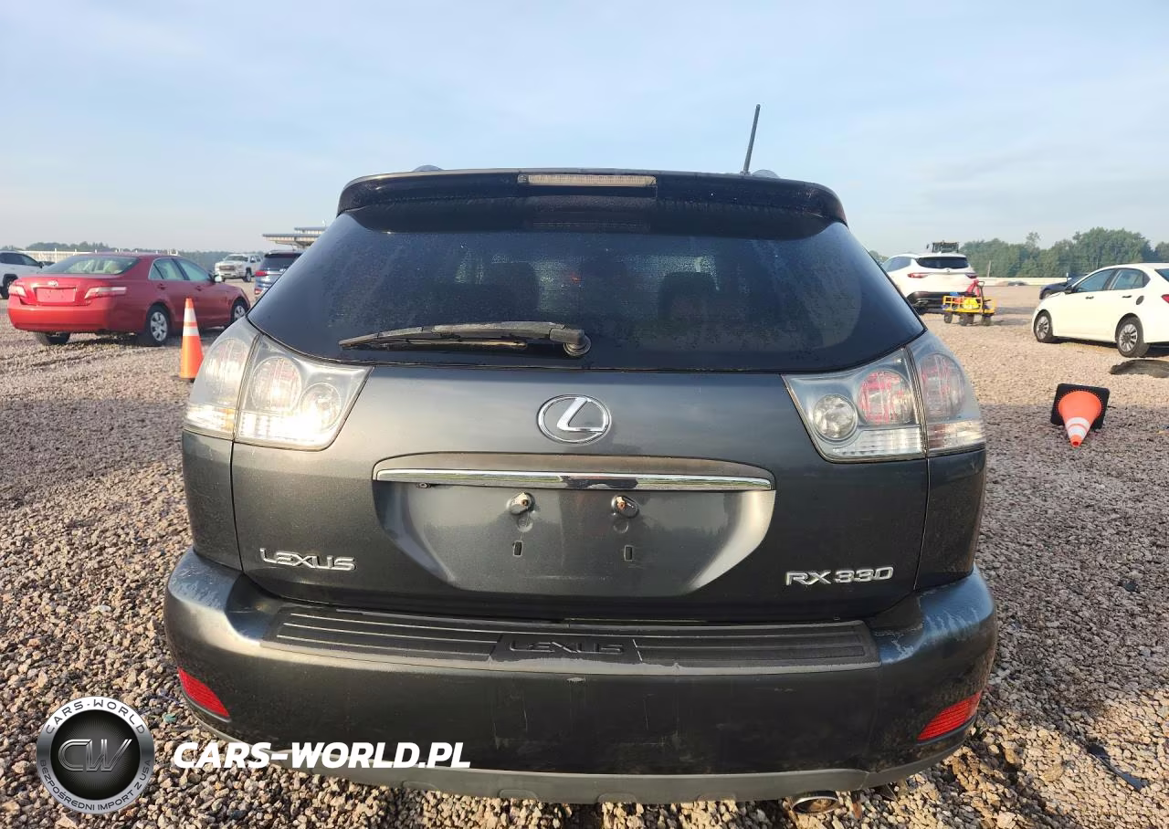 2004 Lexus Rx 330 VIN:JTJHA31U940059697 - 6