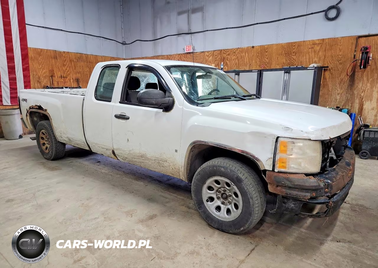 2009 Chevrolet Silverado K1500 VIN:1GCEK19J19E103753 - 4