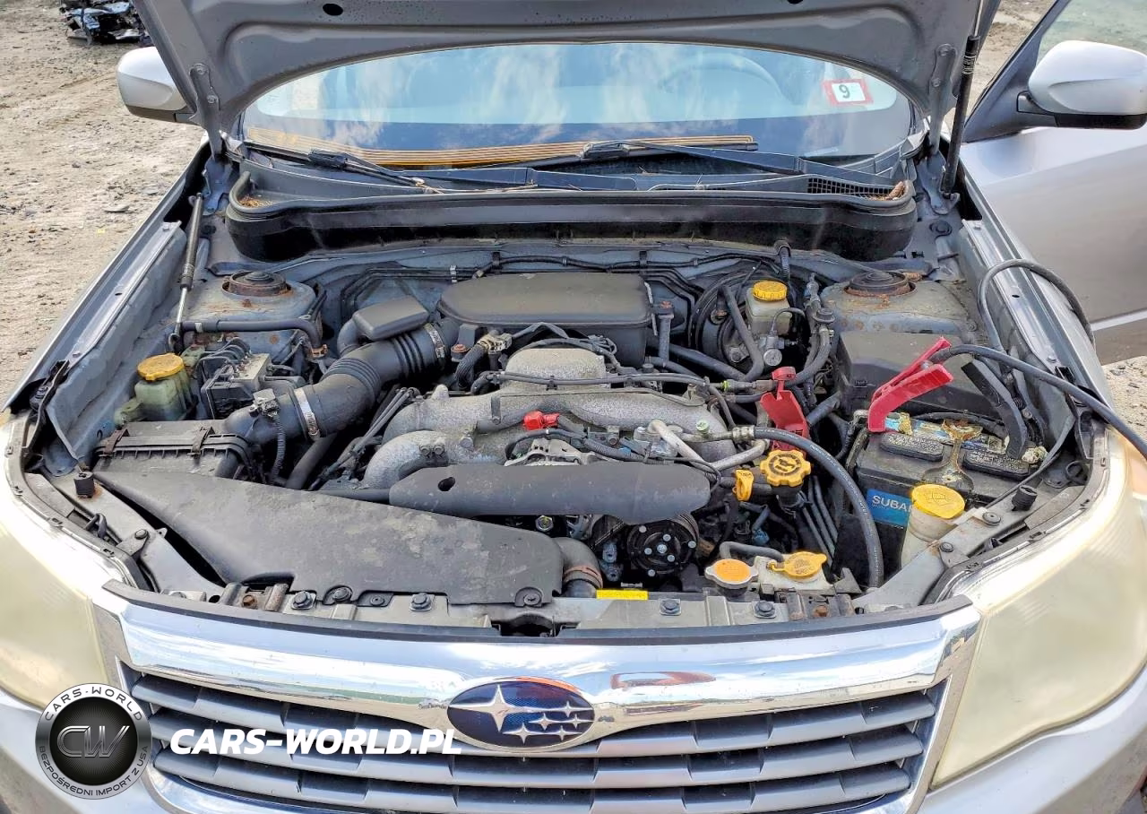 2010 Subaru Forester 2.5X Premium VIN:JF2SH6CC5AH747818 - 11