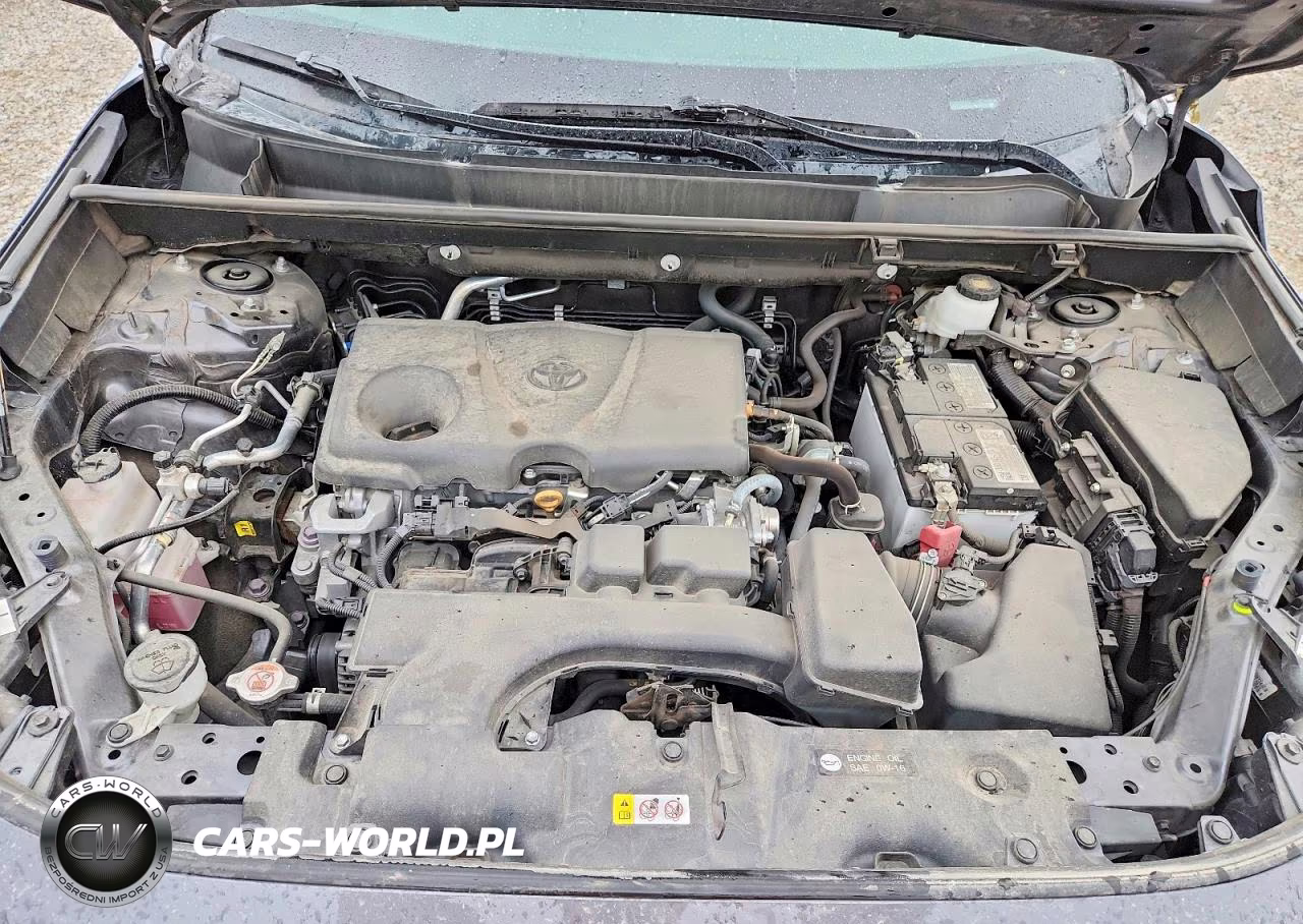 2023 Toyota Rav4 Xle VIN:2T3P1RFV4PC339810 - 11