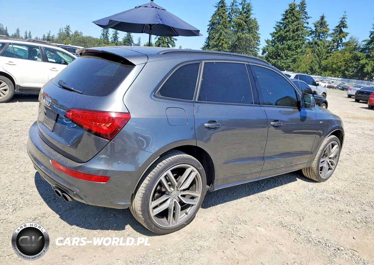 2016 Audi Sq5 Premium Plus VIN:WA1CCAFP3GA044281 - 3
